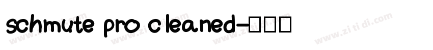 schmute pro cleaned字体转换